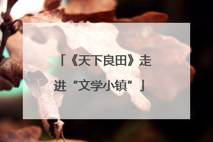《天下良田》走进“文学小镇”