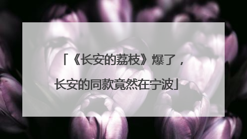 《长安的荔枝》爆了，长安的同款竟然在宁波