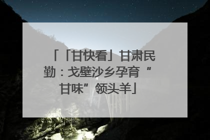 「甘快看」甘肃民勤：戈壁沙乡孕育“甘味”领头羊
