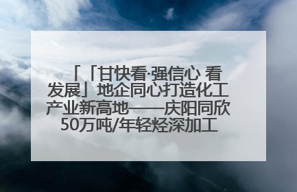 「甘快看·强信心 看发展」地企同心打造化工产业新高地——庆阳同欣50万吨/年轻烃深加工项目建设见闻