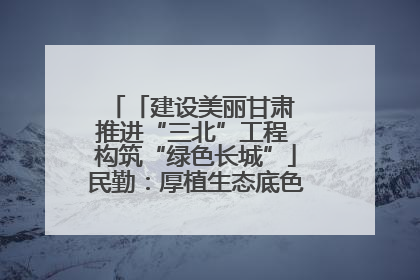 「建设美丽甘肃 推进“三北”工程 构筑“绿色长城”」民勤：厚植生态底色 筑牢绿色屏障