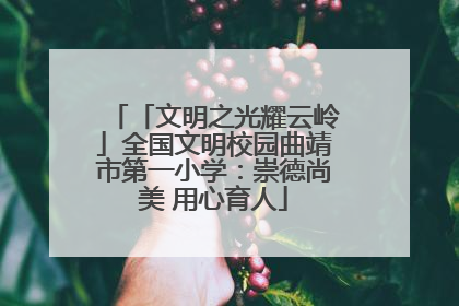 「文明之光耀云岭」全国文明校园曲靖市第一小学：崇德尚美 用心育人