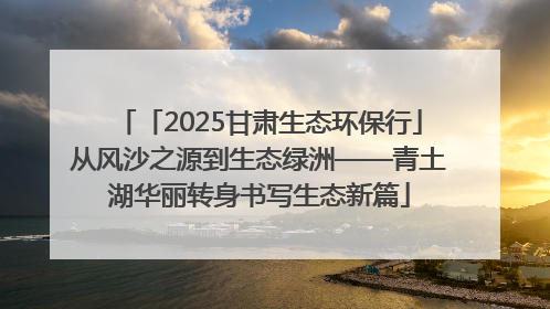 「2025甘肃生态环保行」从风沙之源到生态绿洲——青土湖华丽转身书写生态新篇