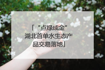 “点绿成金” 湖北首单水生态产品交易落地