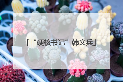 “硬核书记”韩文兵