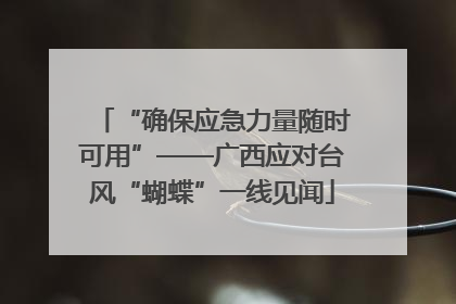 “确保应急力量随时可用”——广西应对台风“蝴蝶”一线见闻