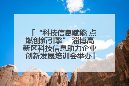 “科技信息赋能 点燃创新引擎” 淄博高新区科技信息助力企业创新发展培训会举办