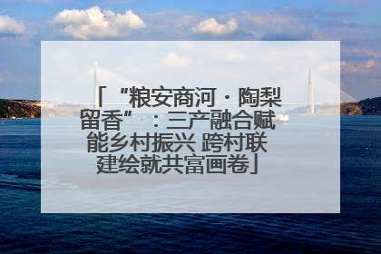 “粮安商河・陶梨留香”：三产融合赋能乡村振兴 跨村联建绘就共富画卷