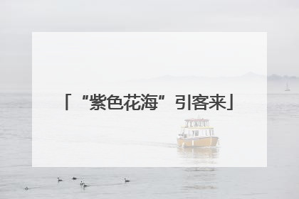 “紫色花海”引客来
