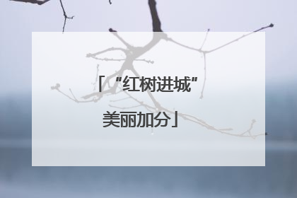 “红树进城” 美丽加分