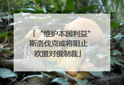 “维护本国利益” 斯洛伐克或将阻止欧盟对俄制裁