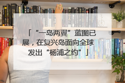 “一岛两翼”蓝图已展，在复兴岛面向全球发出“杨浦之约”