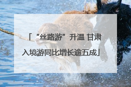“丝路游”升温 甘肃入境游同比增长逾五成