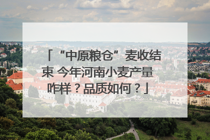 “中原粮仓”麦收结束 今年河南小麦产量咋样？品质如何？