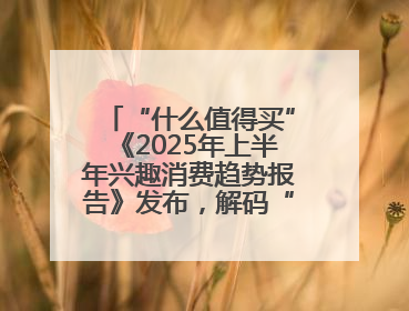 “什么值得买”《2025年上半年兴趣消费趋势报告》发布，解码“心价比”时代兴趣消费新范式