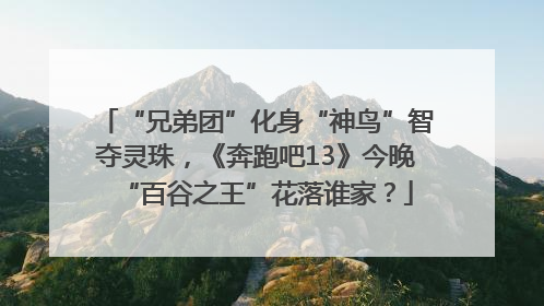 “兄弟团”化身“神鸟”智夺灵珠，《奔跑吧13》今晚“百谷之王”花落谁家？