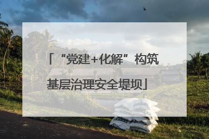 “党建+化解”构筑基层治理安全堤坝
