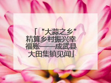 “大蒜之乡”精算乡村振兴幸福账——成武县大田集镇见闻