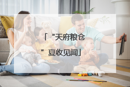 “天府粮仓”夏收见闻