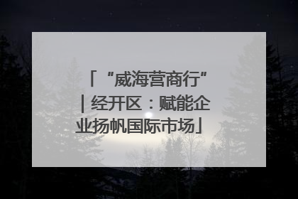 “威海营商行”｜经开区：赋能企业扬帆国际市场