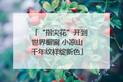 “指尖花”开到世界橱窗 小凉山千年纹样绽新色