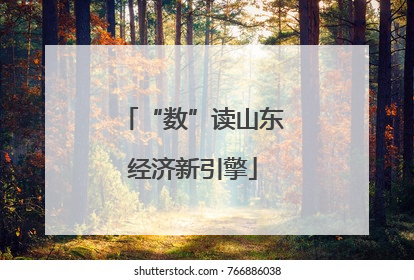 “数”读山东经济新引擎