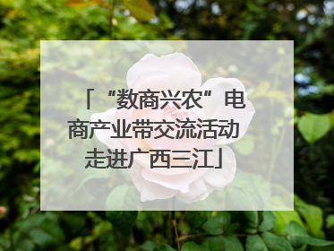 “数商兴农”电商产业带交流活动走进广西三江