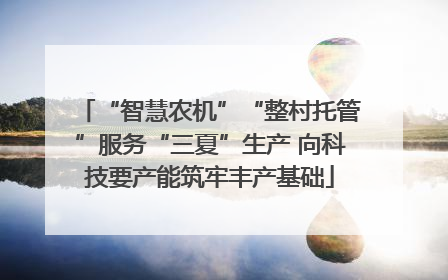 “智慧农机”“整村托管”服务“三夏”生产 向科技要产能筑牢丰产基础