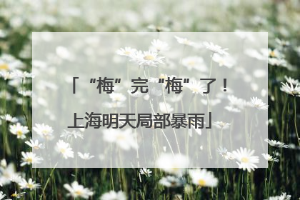 “梅”完“梅”了！上海明天局部暴雨