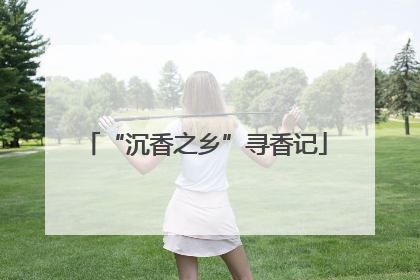 “沉香之乡”寻香记