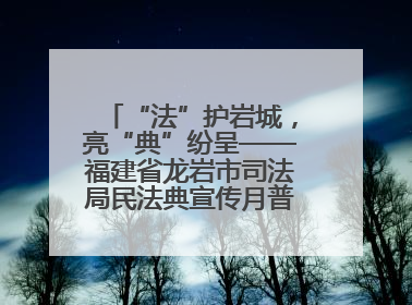 “法”护岩城，亮“典”纷呈——福建省龙岩市司法局民法典宣传月普法活动纪实