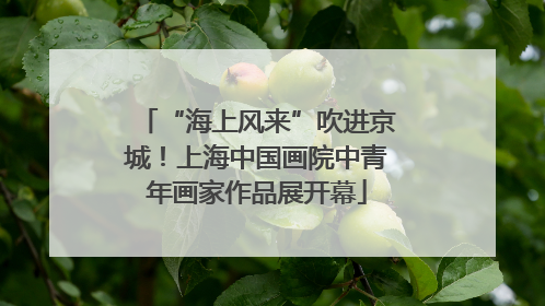 “海上风来”吹进京城！上海中国画院中青年画家作品展开幕