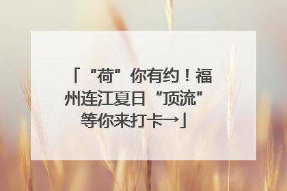 “荷”你有约！福州连江夏日“顶流”等你来打卡→