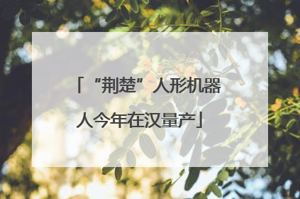 “荆楚”人形机器人今年在汉量产