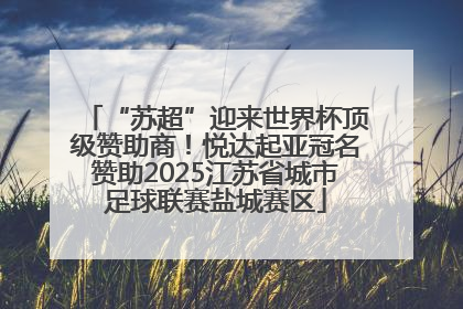 “苏超”迎来世界杯顶级赞助商！悦达起亚冠名赞助2025江苏省城市足球联赛盐城赛区