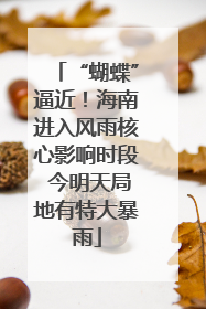 “蝴蝶”逼近！海南进入风雨核心影响时段 今明天局地有特大暴雨