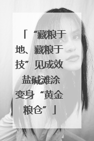“藏粮于地、藏粮于技”见成效 盐碱滩涂变身“黄金粮仓”
