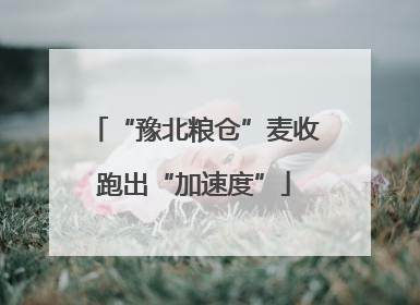 “豫北粮仓”麦收跑出“加速度”