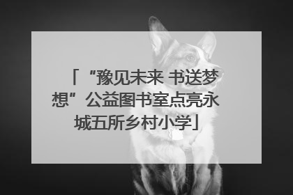 “豫见未来 书送梦想”公益图书室点亮永城五所乡村小学