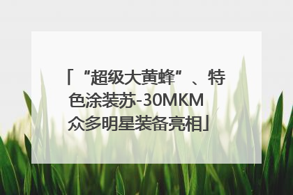 “超级大黄蜂”、特色涂装苏-30MKM 众多明星装备亮相