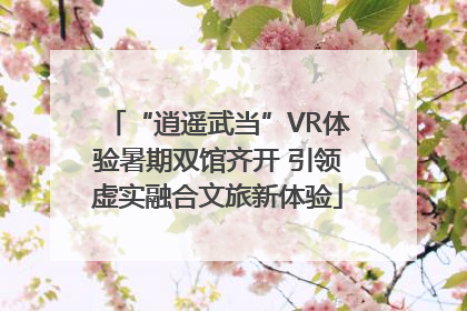 “逍遥武当”VR体验暑期双馆齐开 引领虚实融合文旅新体验