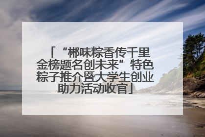 “郴味粽香传千里 金榜题名创未来”特色粽子推介暨大学生创业助力活动收官