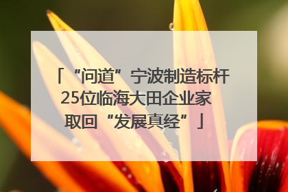 “问道”宁波制造标杆 25位临海大田企业家取回“发展真经”