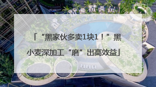 “黑家伙多卖1块1！”黑小麦深加工“磨”出高效益