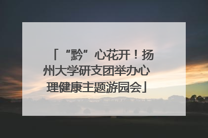 “黔”心花开！扬州大学研支团举办心理健康主题游园会