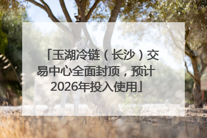 玉湖冷链（长沙）交易中心全面封顶，预计2026年投入使用