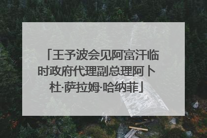 王予波会见阿富汗临时政府代理副总理阿卜杜·萨拉姆·哈纳菲