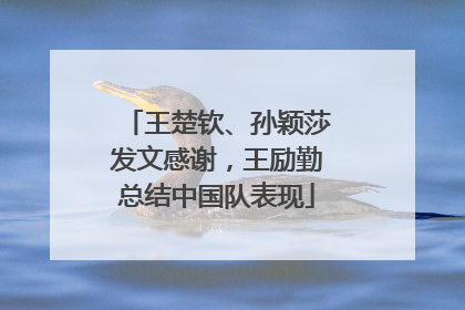 王楚钦、孙颖莎发文感谢，王励勤总结中国队表现