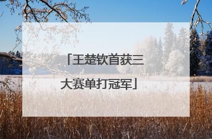 王楚钦首获三大赛单打冠军