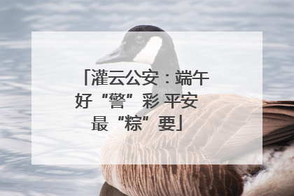 灌云公安：端午好“警”彩 平安最“粽”要